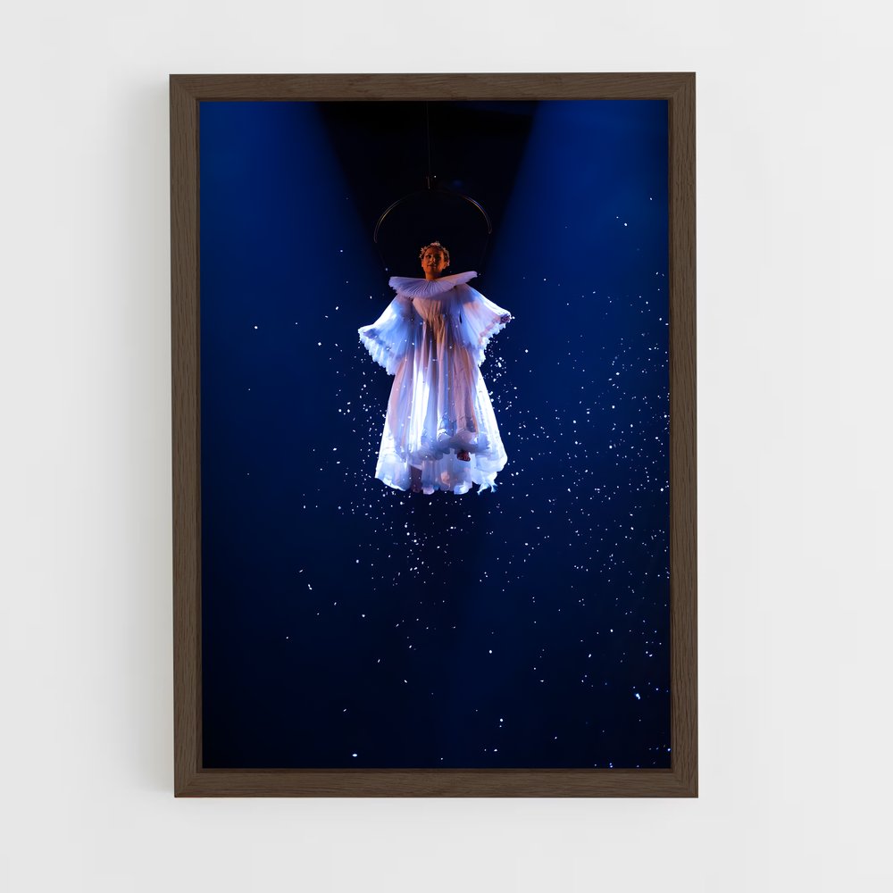 Poster Cirque soleil émerveille (vue 5)